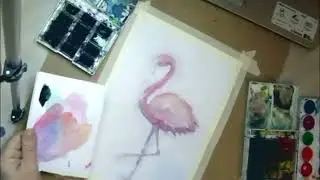 speedpaint watercolor flamingo
