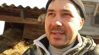 жизнь в деревне.. как это?