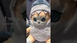 Котики, кошки, акулы)) что может быть милее. 