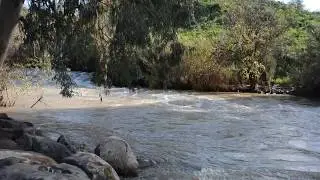 Jordan River is Flowing, Israel 2019 - IZE 1239