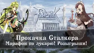 Ragnarok Online | Прокачка Сталкера с луком! (Понерфлено)
