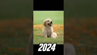 2024 dog 🐶 vs 5000 BCE dog 🐕 💥💥 #viral #shorts