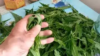 Простой способ ферментации Иван -чая.
