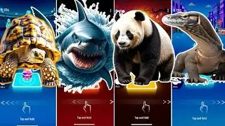 🐢 The Tortoise vs 🦈 The Hungry Shark vs 🐼 The Panda vs 🐊 The Crocodile | Coffin Dance 🪩