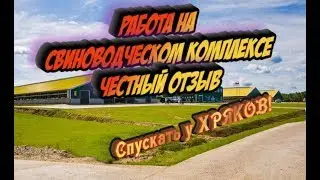 ЧЕСТНЫЙ ОТЗЫВ О РАБОТЕ ОПЕРАТОРОМ СВИНОВОДЧЕСКИХ КОМПЛЕКСОВ.ДМИТРОВА ГОРА.АГРОПРОМКОМПЛЕКТАЦИЯ.2020