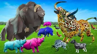 Gaint Buffalo VS Gaint Bull Saved Cartoon Cows Family Epic Cartoon Buffalo  Animal Epic Battle