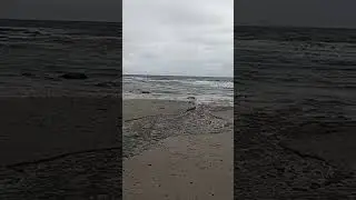 Белое море