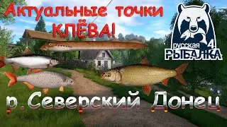 Current fishing spots on the Seversky Donets River. As of 19/00/2026. Russian Fishing 4.
