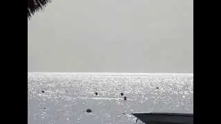 SEA HORIZONS