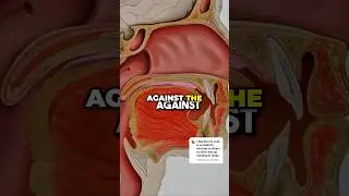 Mastering Tongue Posture  The Key to Improved Breathing and Overall Health
