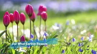 For What Earthly Reason - Instrumental (CSG)