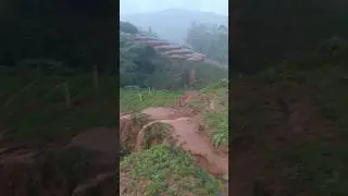 heavy rain in carrot field 