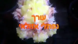 להקת שפתיים ילדים זה שמחה