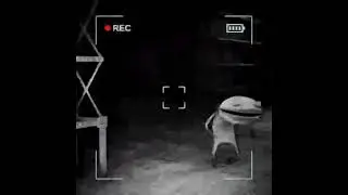 Little gremlin screams at me