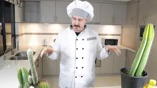 5 Ways to Cook a Cactus