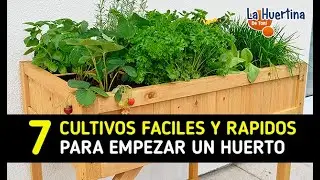 7 Cultivos Rápidos Para Empezar Un Huerto Urbano En 60 Días || La Huertina De Toni