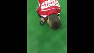 Дарья и Сергей Пынзарь отвели Артема на футбол