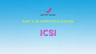 Dr. Frank Yelian - What is ICSI?