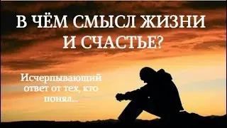В чём Смысл жизни и Счастье?  Исчерпывающий ответ