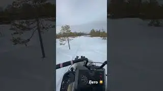 Лето 🌞