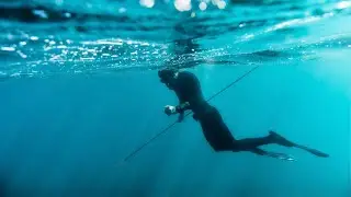 Eating Only What I Catch While Spearfishing For The Next 24 Hours