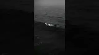 Denizin ötesinde ki sesler..