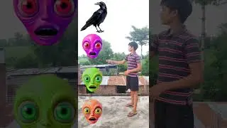 Alien head to crow,, tota,, owl & pigeon - magical vfx video #trending #shorts