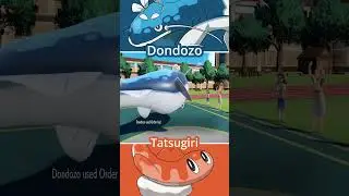 DONDOZO vs TATSUGIRI | Water Pokémon Battle #pokemon
