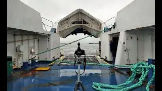 Portræt af Scandlines' Motorfærge Holger Danske. December 2020
