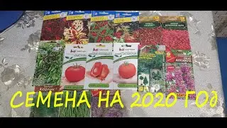 Обзор посылки с семенами на 2020 год