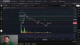TOSHI Is About To RIP: End Of Month PUMP