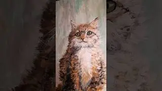 CAT.                                                                                  CANADA.