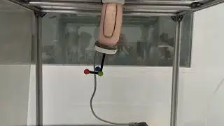 Model Free Control of a Soft Pneumatic Segment