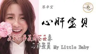 心肝宝贝 蔡卓宜 拼音字体 ktv 卡拉ok字幕