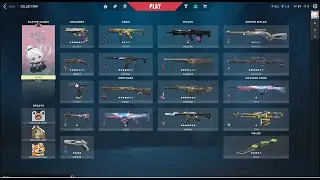 Valorant Stacked Account with Skins (Giveaway) 