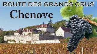 Route des Grands Crus : CHENÔVE