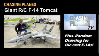 Giant Scale F-14 Model