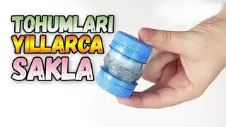 Tohum Saklama Kabı Yapımı | Küflenmeye Son!