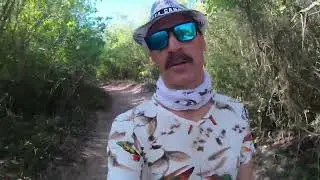 ПРОГУЛКА В ДЖУНГЛЯХ