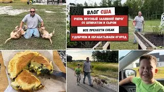 Очень Вкусный Заливной Пирогсо Шпинатом и Сыром | Все Прелести Собак  Удобряем и Обрабатываем Огород