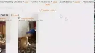 Webm tread