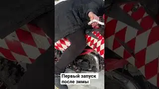 Запуск после зимы Irbis ttr 125