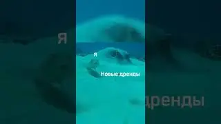 Чё за ху$ня?