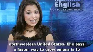 Grow It Yourself: Onions Are Nothing to Cry About