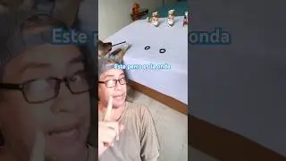 Este perro es la onda #funnyvideo #funnyanimals #funnyshorts