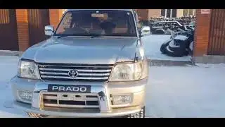Prado 95