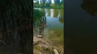 Рыбалка на Озере Приехали ловить карася
