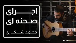 Mohammad Shekari Performance محمد شکاری
