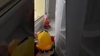 28 марта 2023 г.