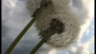 Kostenlos Ihre Fotos optimieren / verkleinern | FILEminimizer Pictures